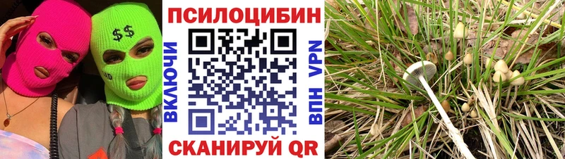 Галлюциногенные грибы MAGIC MUSHROOMS  Удомля 